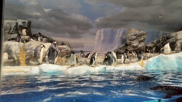 名古屋港水族館に投稿された画像（2021/10/30）