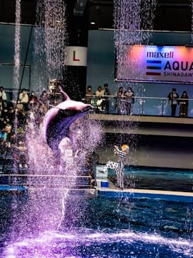 マクセル アクアパーク品川に投稿された画像（2021/10/30）