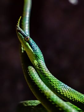 マクセル アクアパーク品川に投稿された画像（2021/10/30）