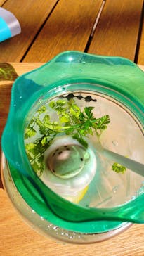 京都水族館に投稿された画像（2021/10/30）