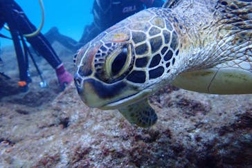 屋久島自然案内に投稿された画像（2021/10/30）