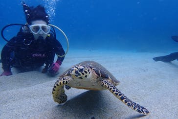 屋久島自然案内に投稿された画像（2021/10/30）