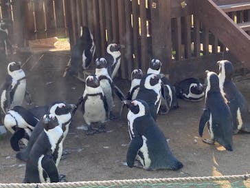 名古屋港水族館に投稿された画像（2021/10/30）