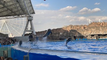 名古屋港水族館に投稿された画像（2021/10/30）