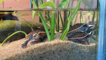 名古屋港水族館に投稿された画像（2021/10/30）