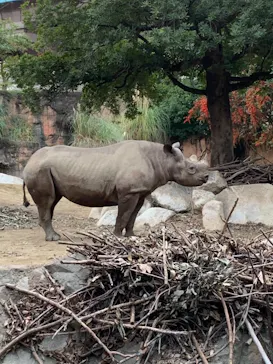 天王寺動物園に投稿された画像（2021/10/30）