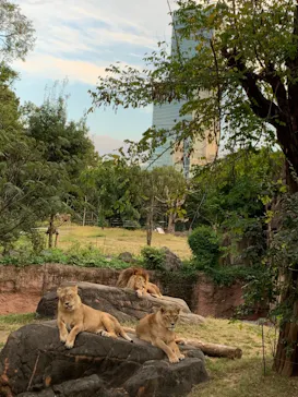 天王寺動物園に投稿された画像（2021/10/30）