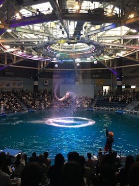 マクセル アクアパーク品川に投稿された画像（2021/10/30）