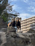 天王寺動物園に投稿された画像（2021/10/30）