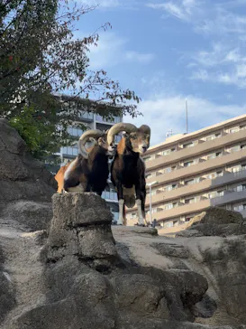 天王寺動物園に投稿された画像（2021/10/30）