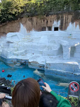 天王寺動物園に投稿された画像（2021/10/30）