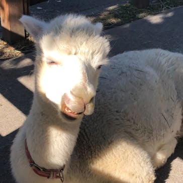 東武動物公園に投稿された画像（2021/10/30）