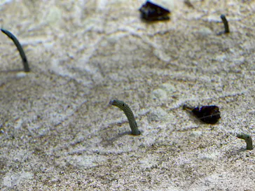 すみだ水族館に投稿された画像（2021/10/30）