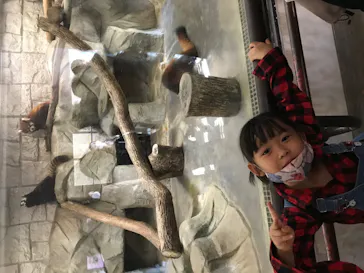 天王寺動物園に投稿された画像（2021/10/30）