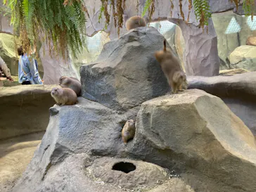 神戸どうぶつ王国に投稿された画像（2021/10/30）