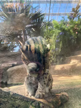 神戸どうぶつ王国に投稿された画像（2021/10/30）