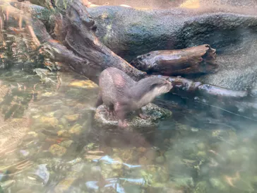 神戸どうぶつ王国に投稿された画像（2021/10/30）