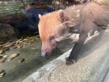 神戸どうぶつ王国に投稿された画像（2021/10/30）