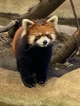 那須どうぶつ王国に投稿された画像（2021/10/30）