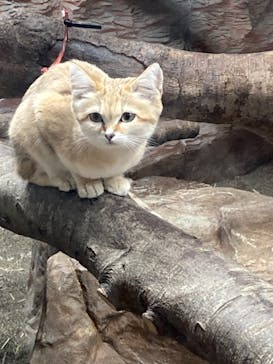 那須どうぶつ王国に投稿された画像（2021/10/30）