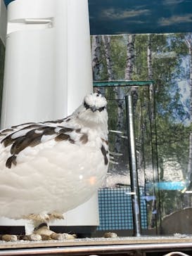 那須どうぶつ王国に投稿された画像（2021/10/30）