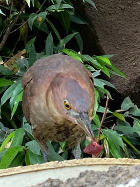 那須どうぶつ王国に投稿された画像（2021/10/30）