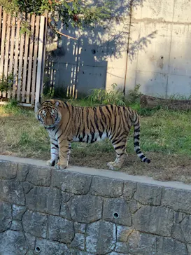 天王寺動物園に投稿された画像（2021/10/30）