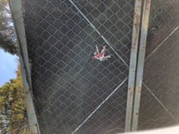 群馬サファリパークに投稿された画像（2021/10/30）