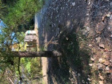 群馬サファリパークに投稿された画像（2021/10/30）