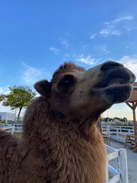 神戸どうぶつ王国に投稿された画像（2021/10/30）