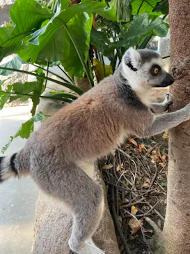 神戸どうぶつ王国に投稿された画像（2021/10/30）