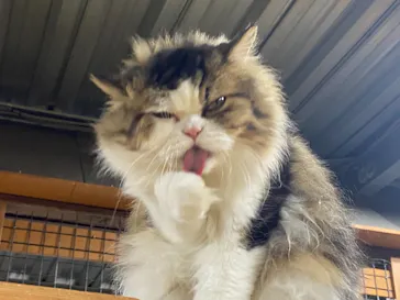 神戸どうぶつ王国に投稿された画像（2021/10/30）