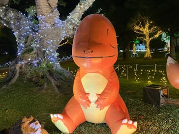 美らヤシパークオキナワ・東南植物楽園に投稿された画像（2021/10/30）