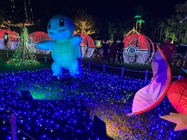 美らヤシパークオキナワ・東南植物楽園に投稿された画像（2021/10/30）