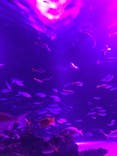 サンシャイン水族館に投稿された画像（2021/10/30）
