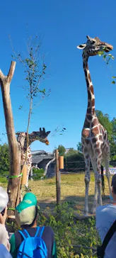 天王寺動物園に投稿された画像（2021/10/30）