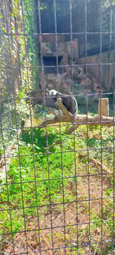 天王寺動物園に投稿された画像（2021/10/30）