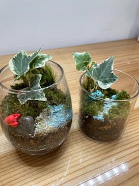 伊勢夫婦岩めおと横丁　めおと岩アクティビティに投稿された画像（2021/10/30）