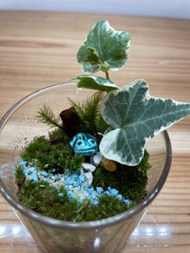 伊勢夫婦岩めおと横丁　めおと岩アクティビティに投稿された画像（2021/10/30）