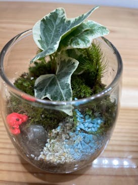 伊勢夫婦岩めおと横丁　めおと岩アクティビティに投稿された画像（2021/10/30）