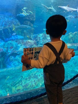 大分マリーンパレス水族館 「うみたまご」に投稿された画像（2021/10/30）