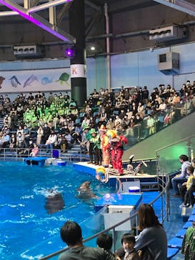 マクセル アクアパーク品川に投稿された画像（2021/10/30）