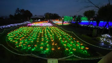 東武動物公園に投稿された画像（2021/10/30）