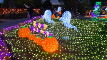 東武動物公園に投稿された画像（2021/10/30）