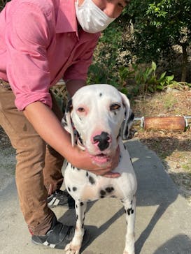 しろとり動物園に投稿された画像（2021/10/30）