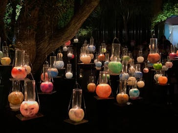 江の島シーキャンドルに投稿された画像（2021/10/30）