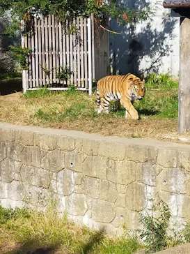 天王寺動物園に投稿された画像（2021/10/30）