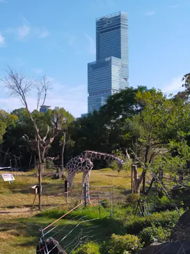 天王寺動物園に投稿された画像（2021/10/30）