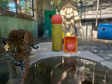 天王寺動物園に投稿された画像（2021/10/30）