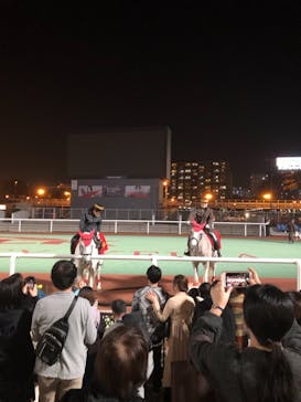 東京メガイルミに投稿された画像（2021/10/30）